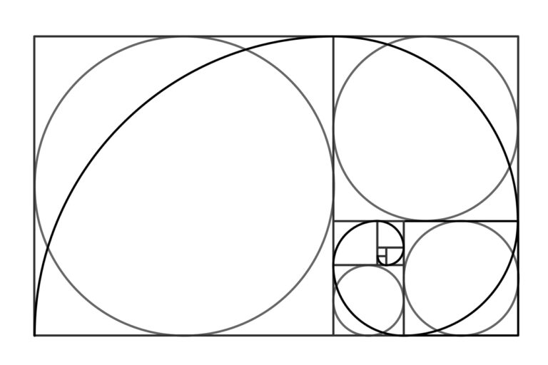 asymmetrical line drawing